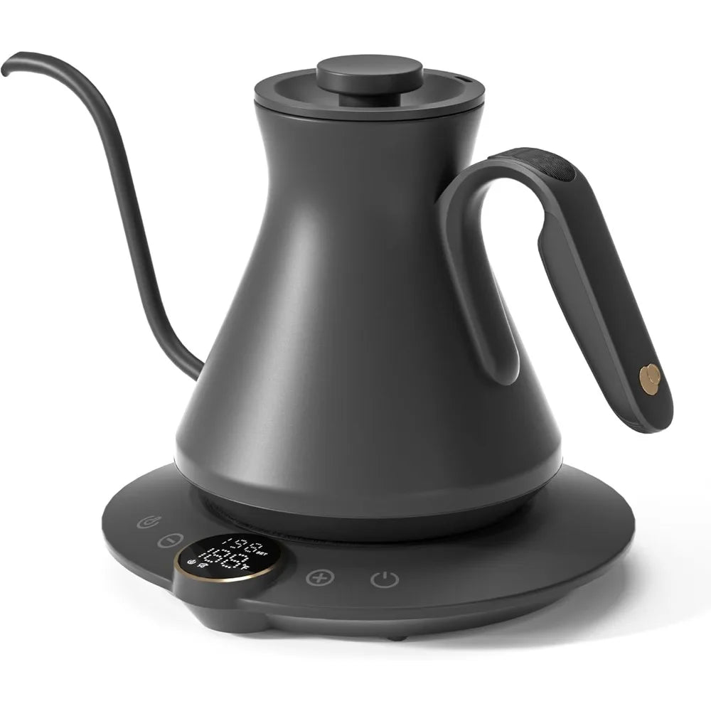 Electric Water Kettle