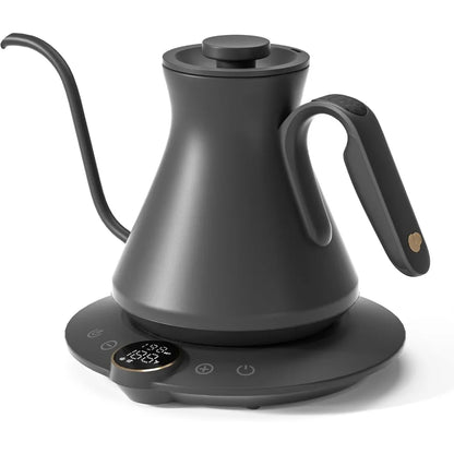 Electric Water Kettle